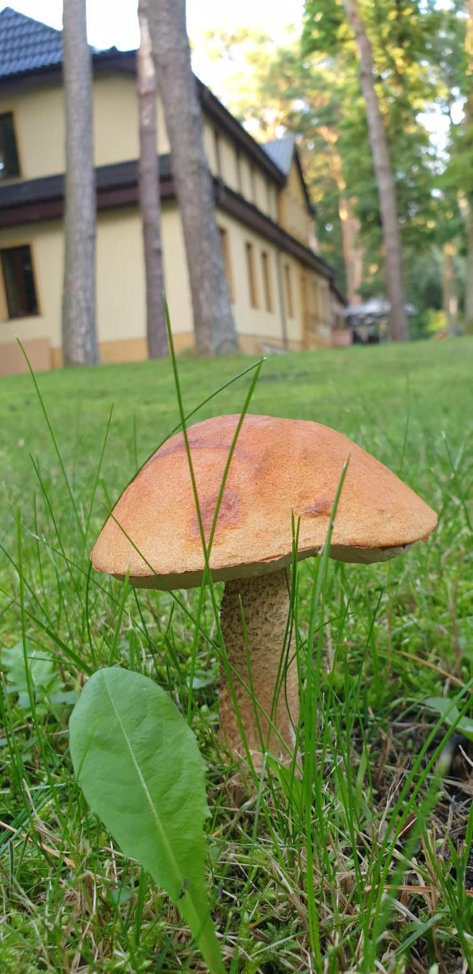 Villa Toskana Погожеліца Екстер'єр фото