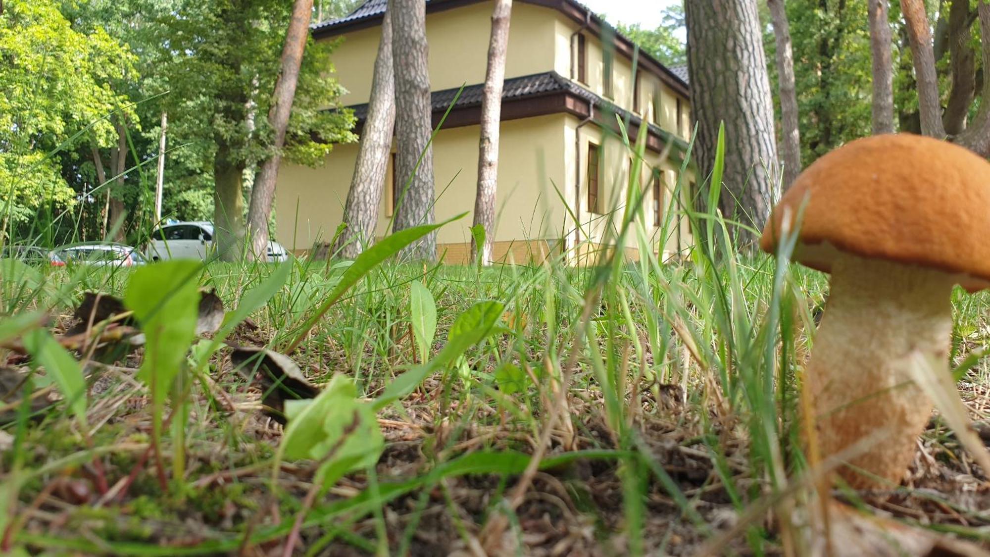 Villa Toskana Погожеліца Екстер'єр фото